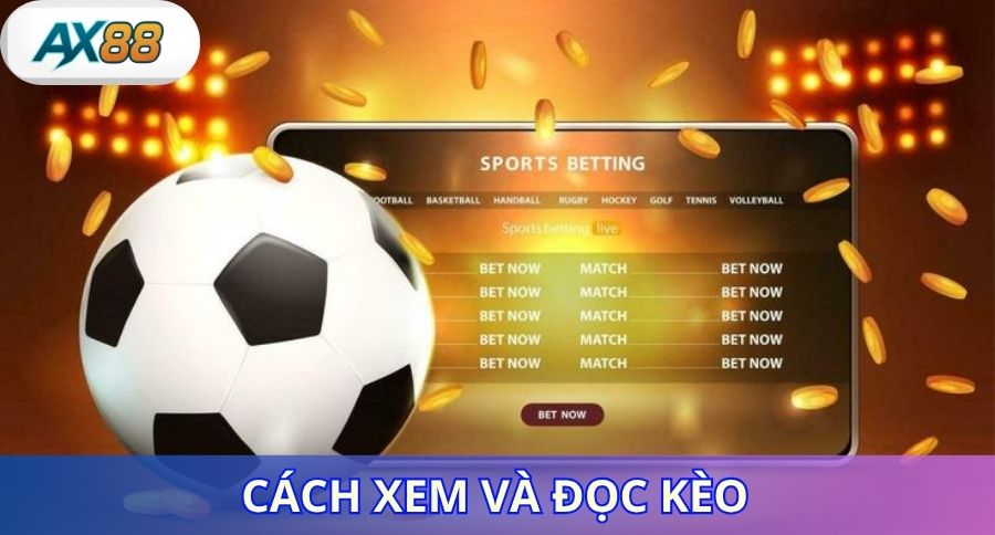 Cách Xem Kèo Thể Thao và đọc kèo chi tiết